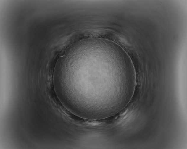 X0000086021109200703301026