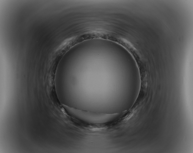 X0000086021110200703301026