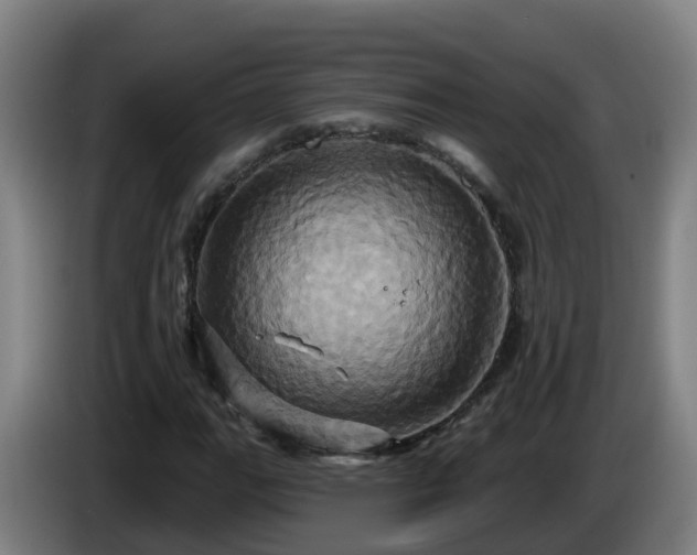 X0000086021111200703301026