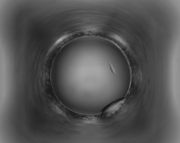X0000086021112200703301026