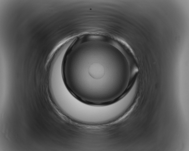X0000086021114200703301026