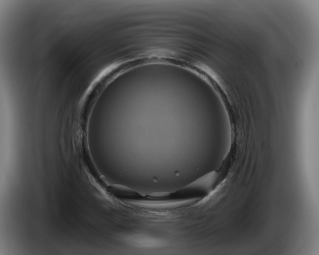X0000086021115200703301026