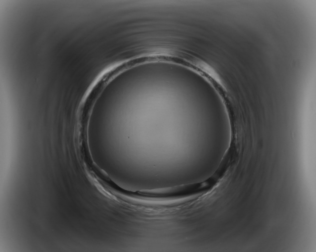 X0000086021116200703301026