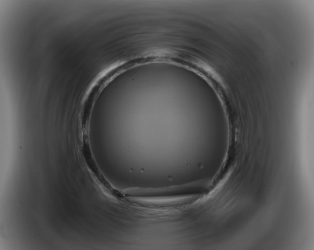 X0000086021117200703301026