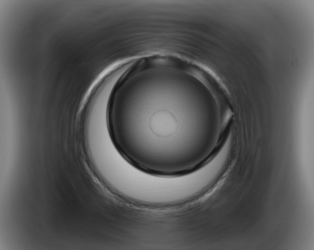 X0000086021118200703301026
