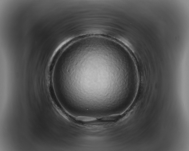X0000086021119200703301026
