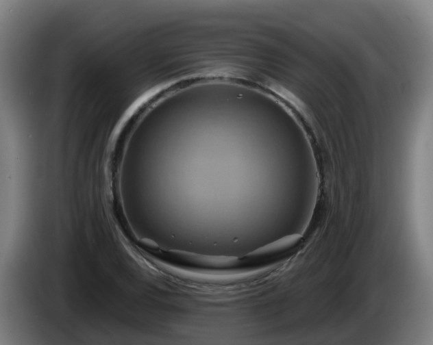 X0000086021120200703301026
