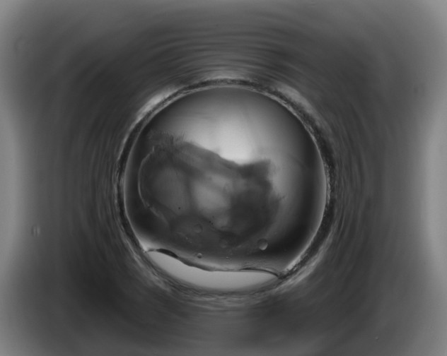 X0000086021121200703301026