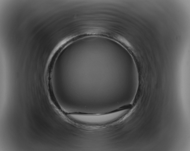 X0000086021122200703301026