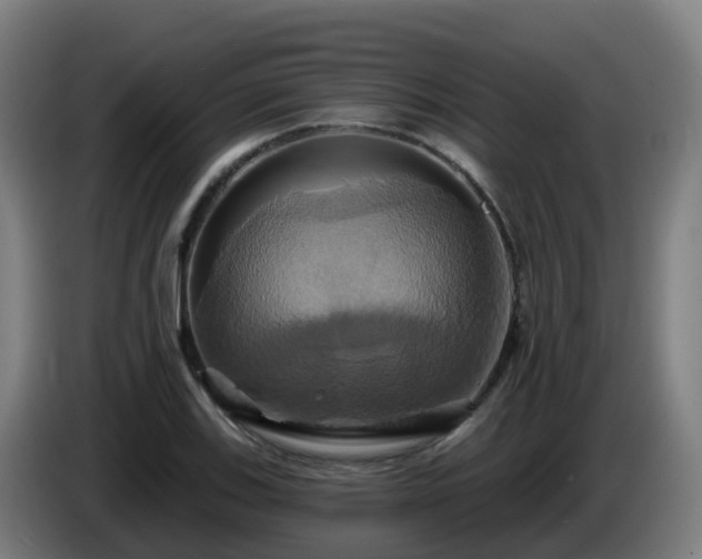 X0000086021123200703301026