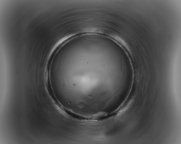 X0000086021125200703301026