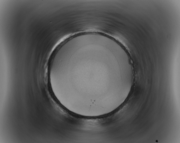 X0000086021126200703301026