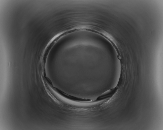 X0000086021127200703301026