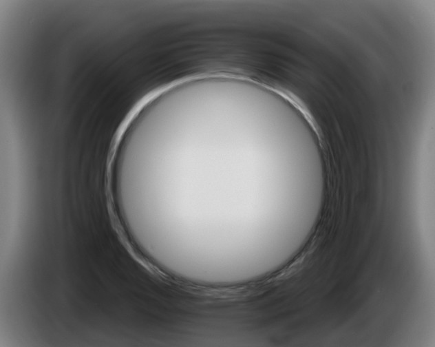 X0000086021128200703301026
