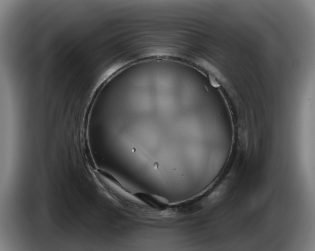 X0000086021129200703301026
