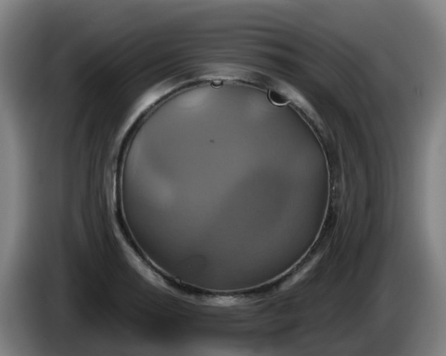 X0000086021130200703301026