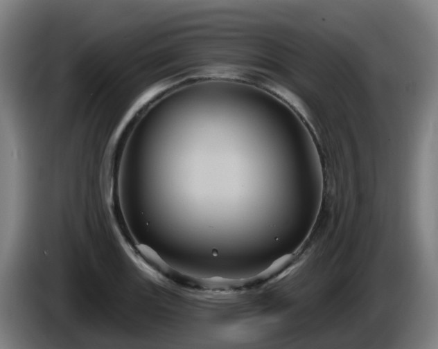 X0000086021131200703301026