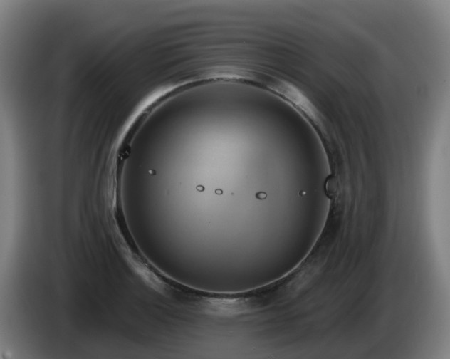 X0000086021132200703301026