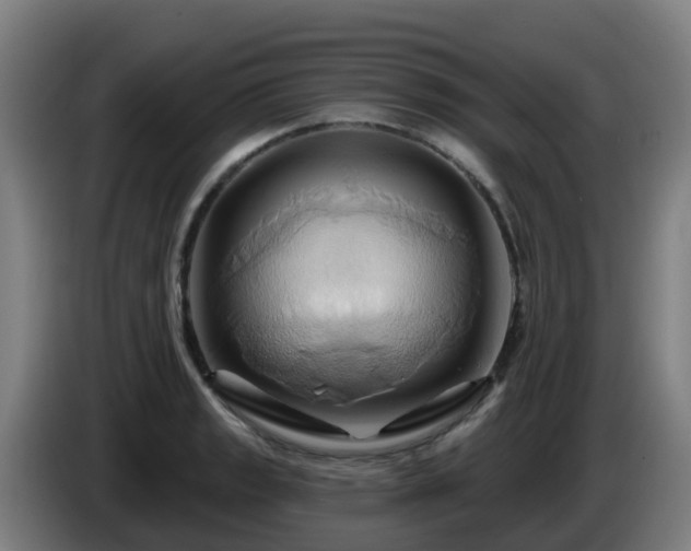 X0000086021133200703301026