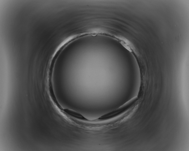 X0000086021134200703301026