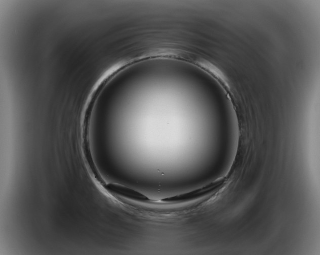 X0000086021135200703301026