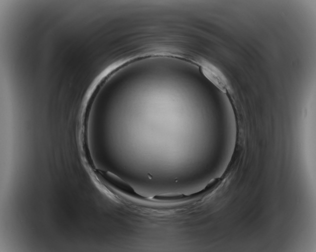 X0000086021136200703301026