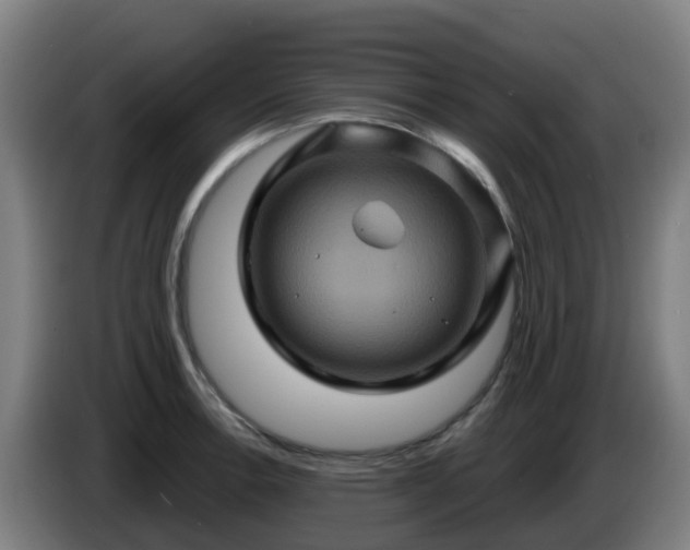 X0000086021138200703301026