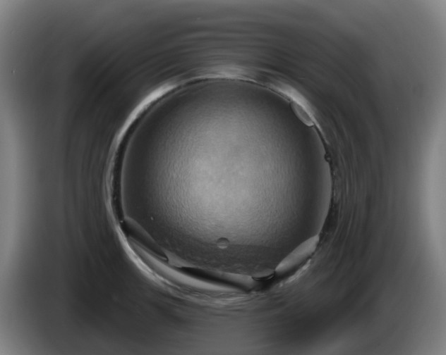 X0000086021139200703301026