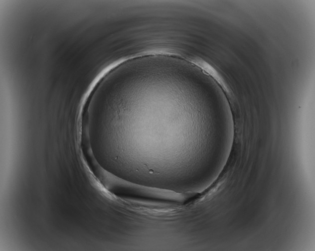 X0000086021140200703301027