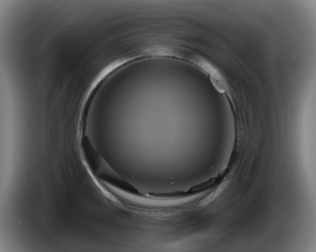 X0000086021141200703301027