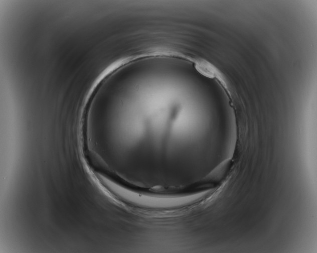 X0000086021142200703301027