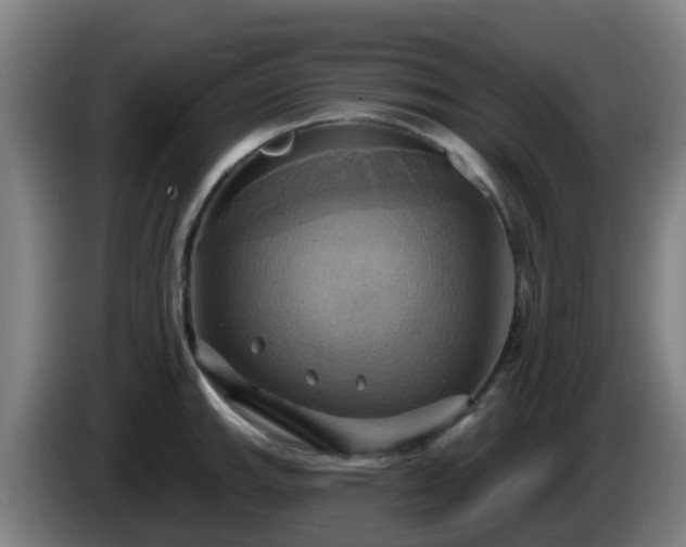X0000086021143200703301027