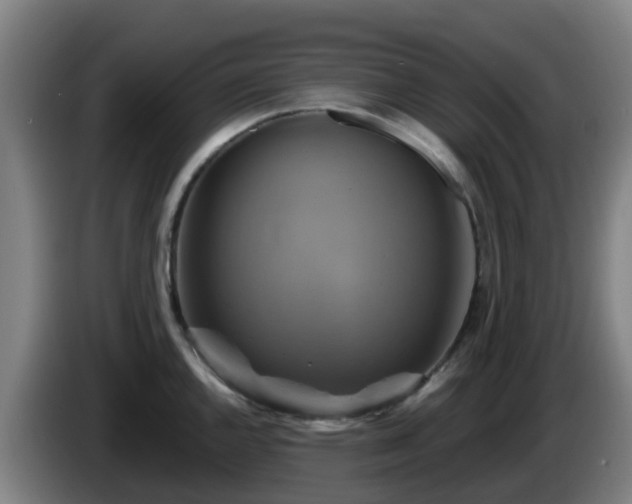 X0000086021144200703301027