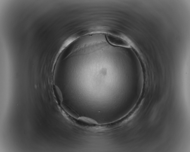 X0000086021145200703301027