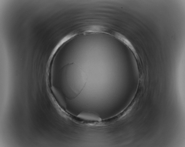 X0000086021146200703301027