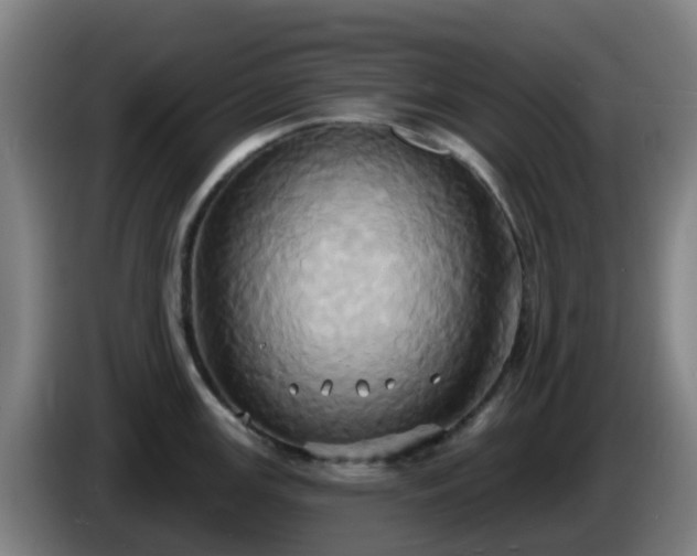 X0000086021147200703301027