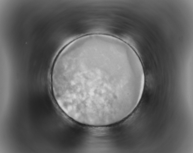 X0000086021150200703301027
