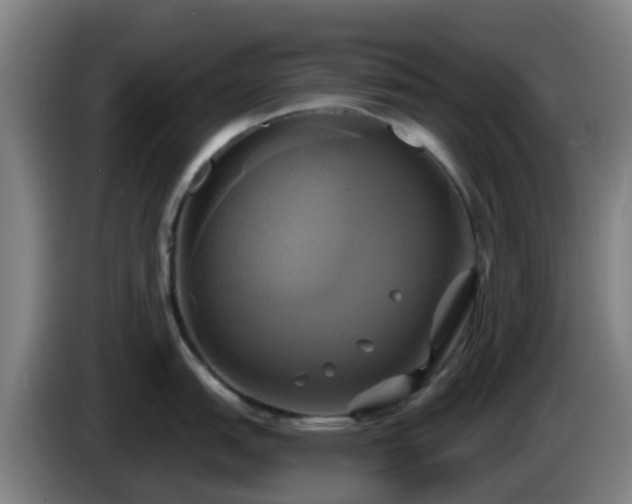 X0000086021151200703301027