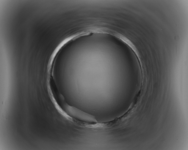 X0000086021152200703301027