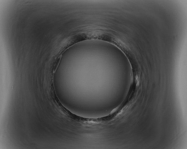 X0000086021153200703301026
