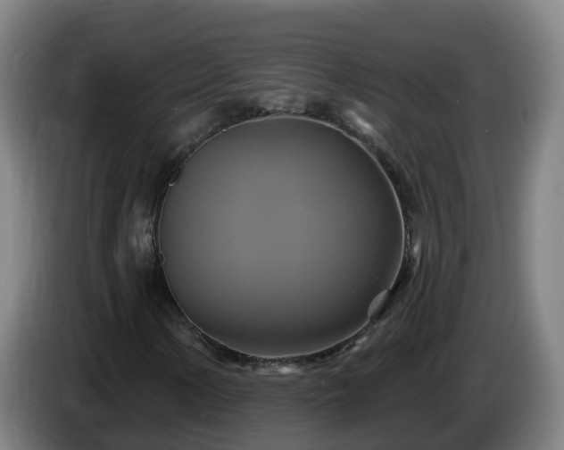 X0000086021154200703301026