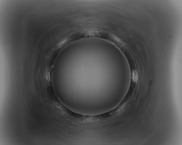 X0000086021155200703301026