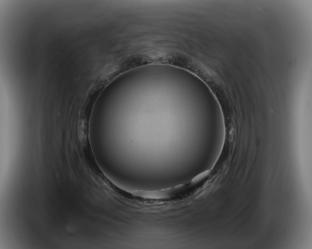 X0000086021156200703301026