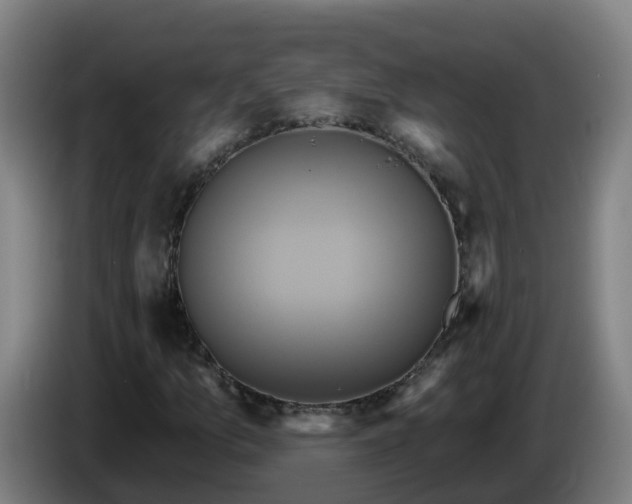 X0000086021157200703301026