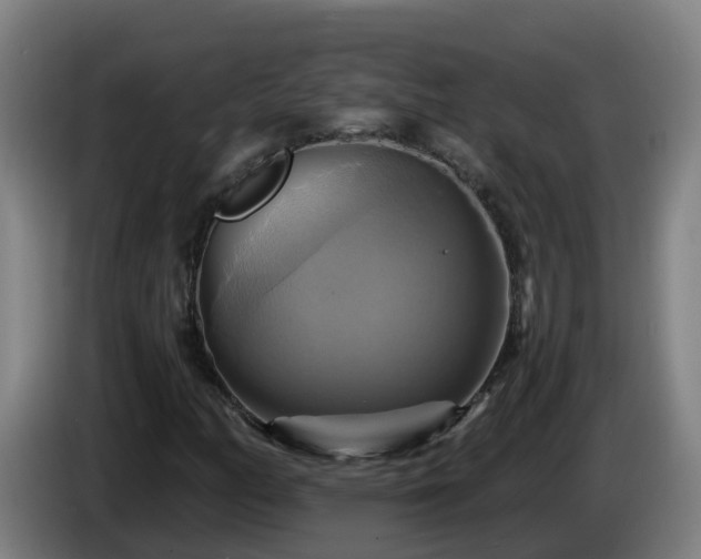 X0000086021158200703301026