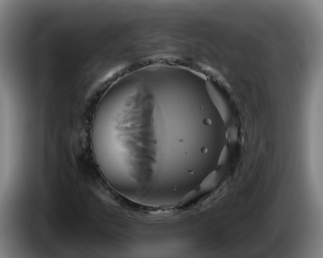 X0000086021159200703301026