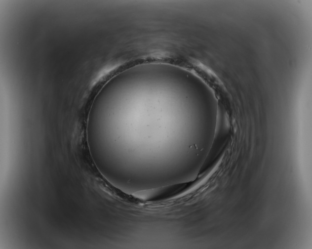 X0000086021160200703301026