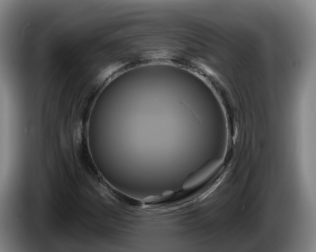 X0000086021161200703301026