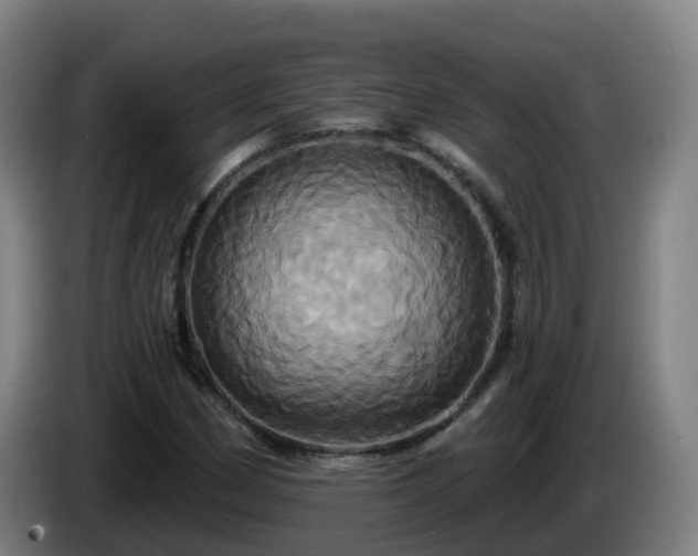 X0000086021162200703301026