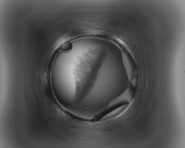 X0000086021163200703301026